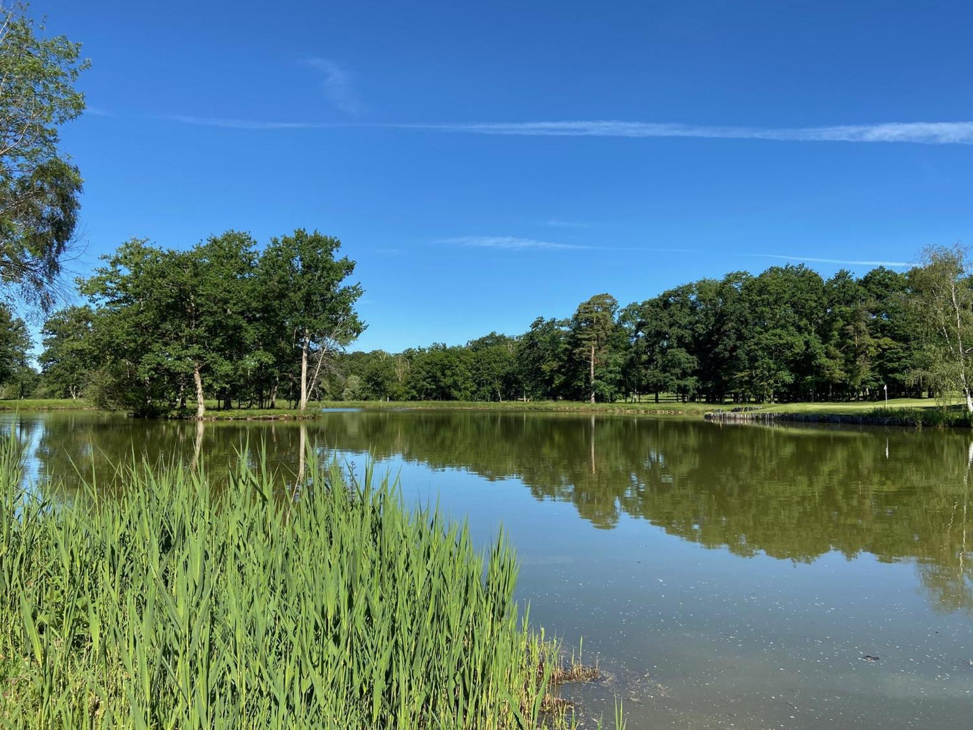 Domaine Du Roncemay - Hotel, Restaurants, Spa & Golf Aillant-sur-Tholon Exterior foto